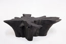 Black Burnt Organic Teak Root  Coffee Table 84