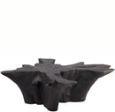 Black Burnt Organic Teak Root  Coffee Table 84