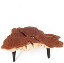 Z-Modern Lychee Living Edge Coffee Table 92