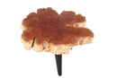 Modern Lychee Living Edge Coffee Table 98