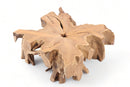 Z-39" Inch Square Teak Root Coffee Table