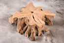 Z-39" Inch Square Teak Root Coffee Table