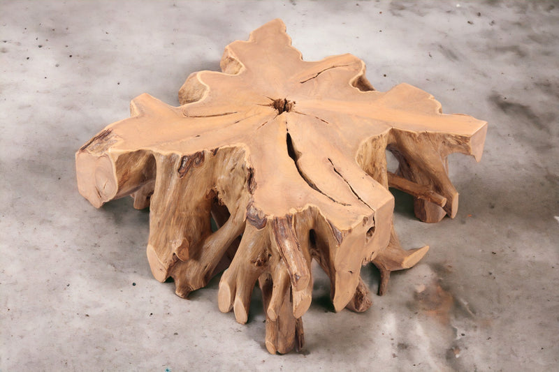 39" Inch Square Teak Root Coffee Table