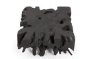 Black Teak Root Coffee Table