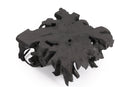 Black Teak Root Coffee Table