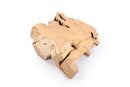 Free Form Teak Root Coffee Table