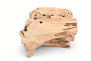 Z-Free Form Teak Root Coffee Table 2