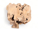 Z-Free Form Teak Root Coffee Table 2