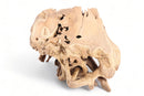 Z-Free Form Teak Root Coffee Table 2