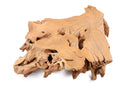 Z-Nature Free Edge Teak Root Coffee Table