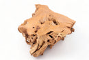 Z-Nature Free Edge Teak Root Coffee Table