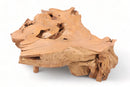 Z-Nature Free Edge Teak Root Coffee Table