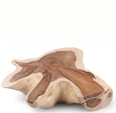 Z-Smooth Living Edge Coffee Table 2