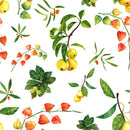 Apple on White Background Wallpaper