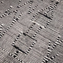 Sadghiyan - taznakht kilim rug