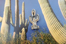 Cactus Lapel Pin