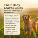 Allergy Support Soft Chews for Dogs | 60 Chews - 6.35 oz | LivHerbals, Inc.