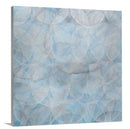 Calumba - Limited Edition Canvas Print