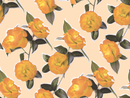 Camellia Wallpaper, peach and orange