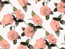 Camellia Wallpaper, white and coral
