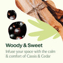 Cassis & Cedar Naturally Scented Candle