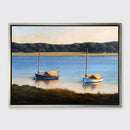 Catboats - Limited Edition Canvas Print