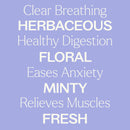 Catnip Essential Oil