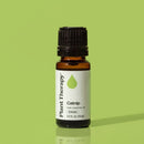 Catnip Essential Oil