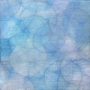Caulophyllum III - Limited Edition Canvas Print
