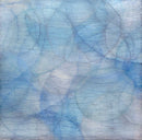Caulophyllum II - Limited Edition Canvas Print
