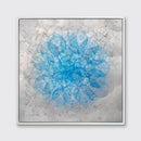 Centaurea - Limited Edition Canvas Print