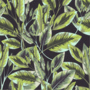 Stylish Dark Wallpaper with Leaves Smart