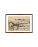 Charcoal Horses
