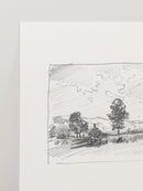 Charcoal Trees 2