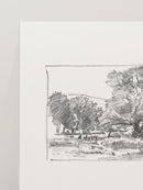 Charcoal Trees 3
