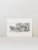Charcoal Trees 3