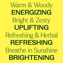 Chasing Sunshine Essential Oil Blend Set