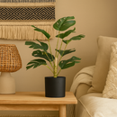 Simulation Monstera with Fairy light