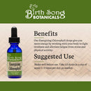 Energizing Chlorophyll Liquid Drops for Natural Energy 1 oz.