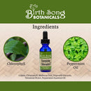 Energizing Chlorophyll Liquid Drops for Natural Energy 1 oz.