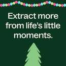 Christmas Tree Essential Oil Blend