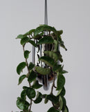 Portico Planter