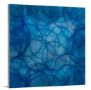 Cineraria - Limited Edition Canvas Print
