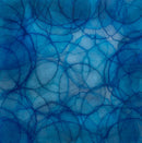 Cineraria - Limited Edition Canvas Print