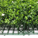 Sample Panel – White Flowering Boxwood Green Wall (Small Sample)