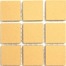 Cognac Porcelain 20x20 Square Foot