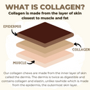 10-12 Inch Large Collagen Champion Chew