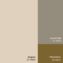 Fetscher Traditional Olive/Light Beige Area Rug - Galey Alix Livabliss