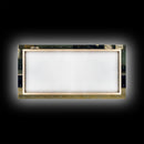 Tiger in a Subway train station, Post-apocalyptic urban decay art, framed canvas print