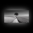 Black and White Photography Style Print - Framed Canvas Print - Subdued Home Decor - Ready to Hang Wall Art - Centerpiece Wall Art